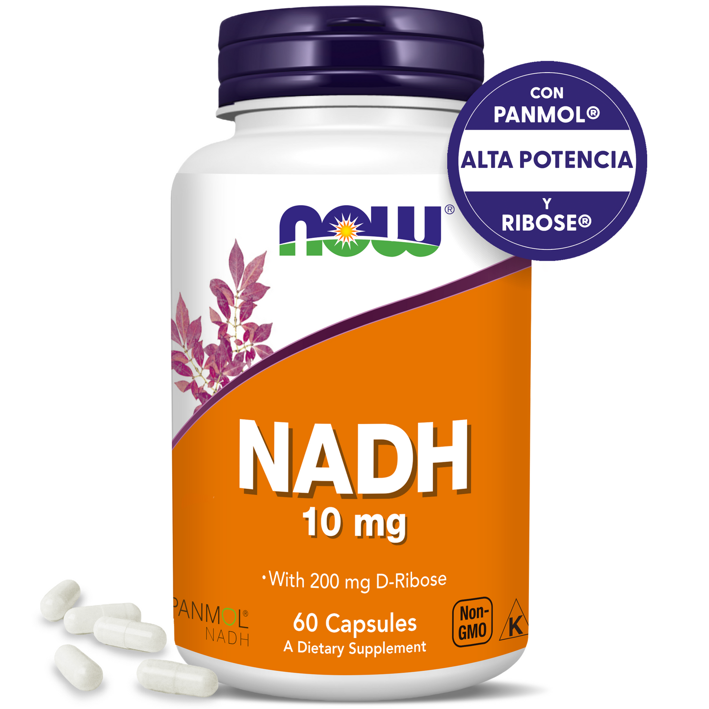 NADH 10MG | +200MG DE RIBOSA | ALTA ABSORCIÓN | 60 CAPS